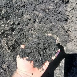 Mulch