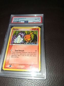 PSA 8 torchic
