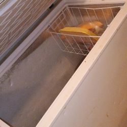 Deep Freezer 