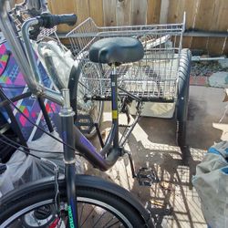 Tricycle 3 Wheeler Bike 