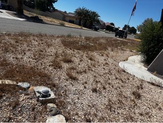 Weed removal