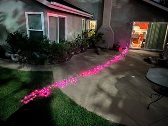 Halloween purple lights 30 feet over 500 individual lights. Very dense lights.