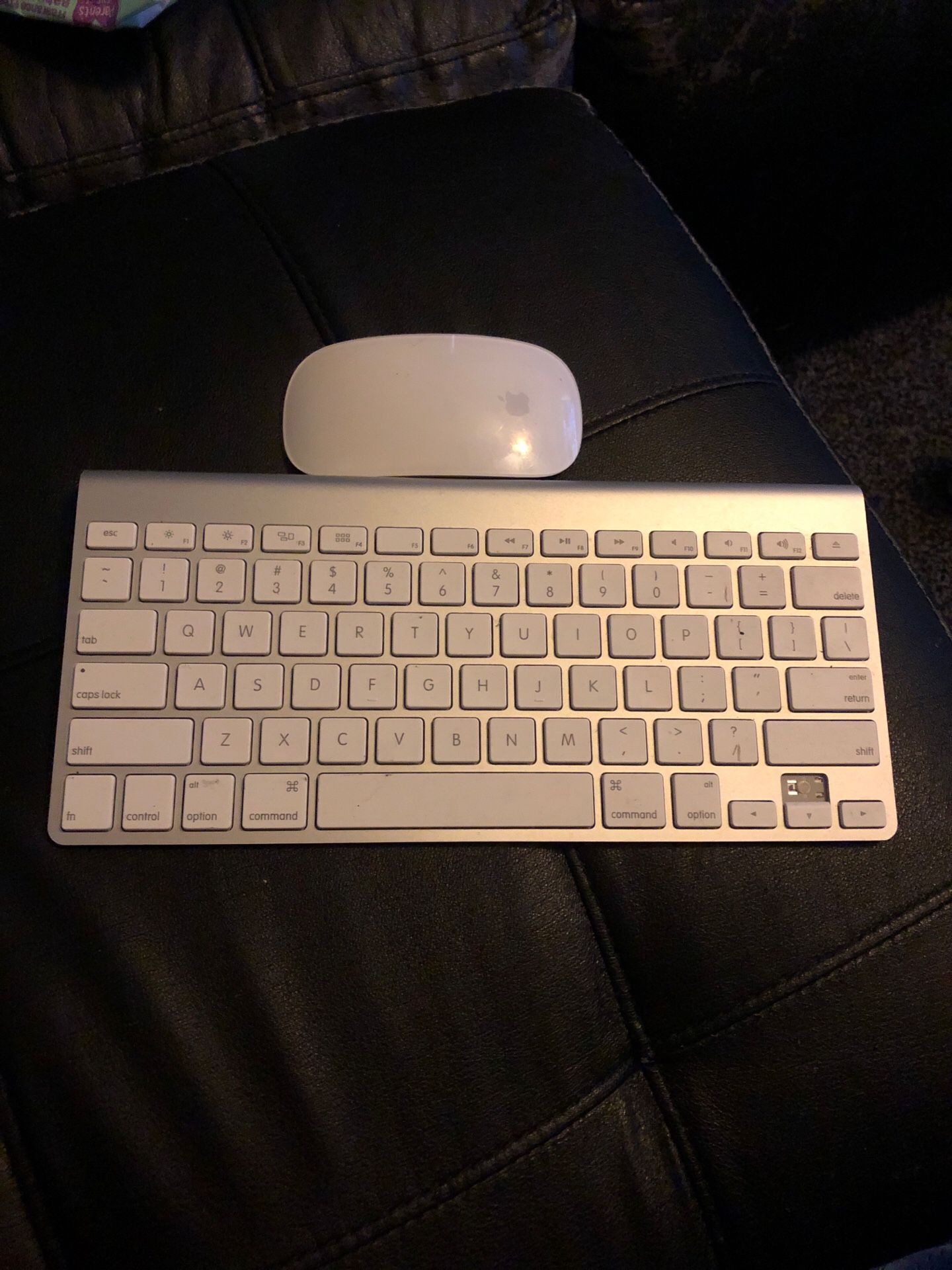 Apple Magic Mouse 2 and keyboard