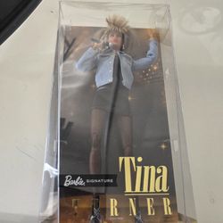 Tina Turner Toll