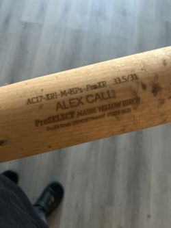 Alex call baseball Bat