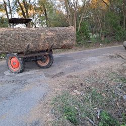 GOOD PRICE ON 🌳🌳Removal 