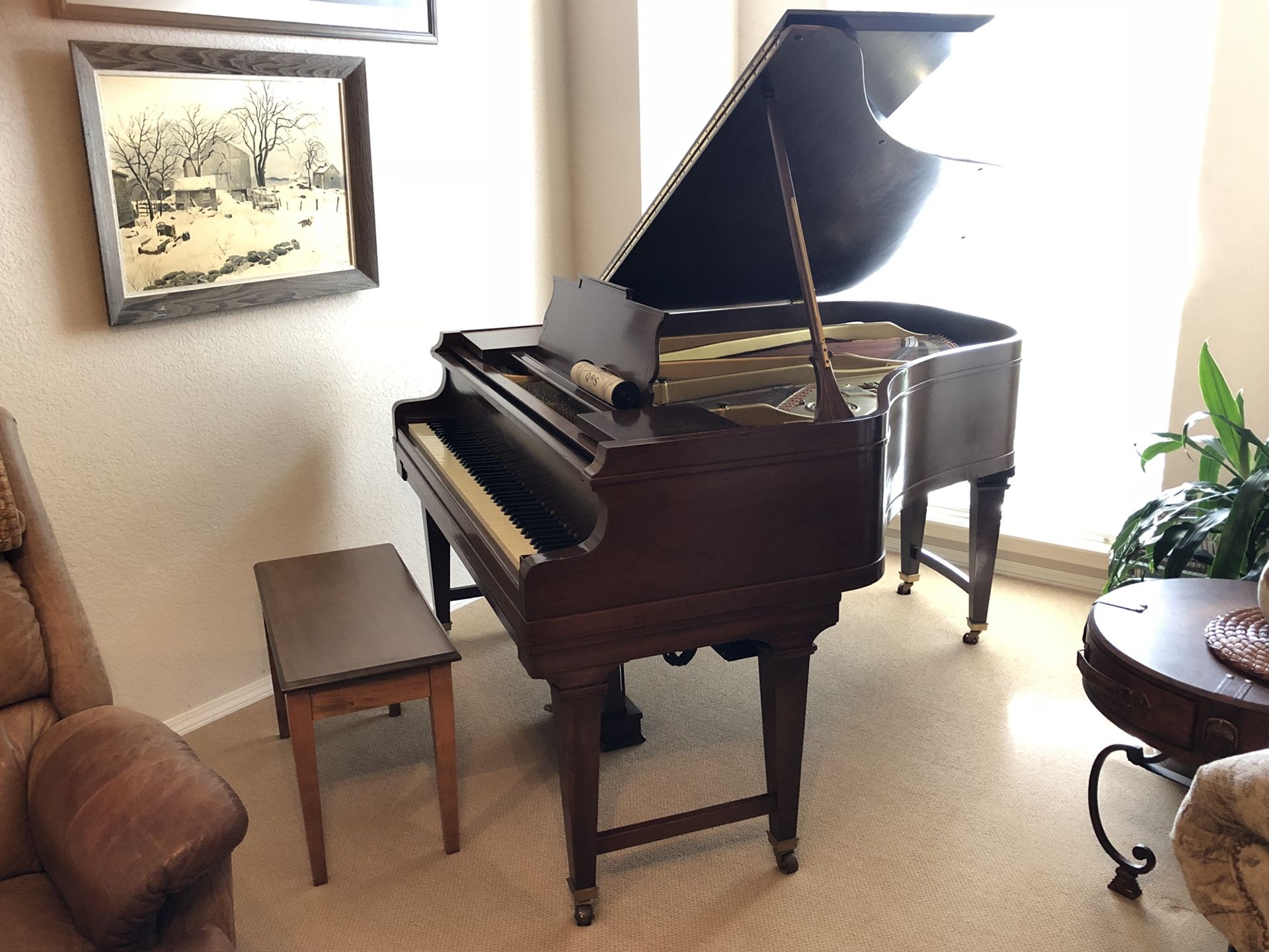 Baby Grand Player Piano Haines Brothers