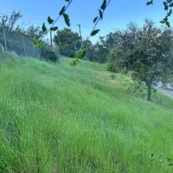 Llarda Limpia? Llámame (contact info removed)