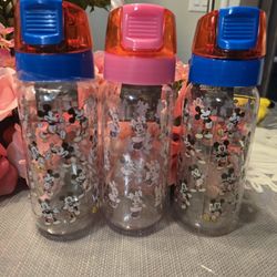 Mickey Mouse Water Bottle 