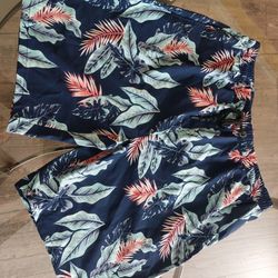 New Mens Swimwear Size LARGE.  CASH Pickup Only 