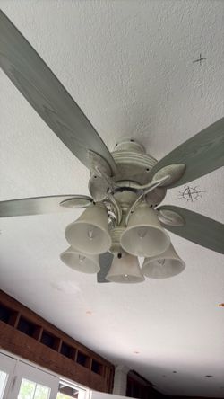 Ceiling Fan with 5 Lights – Great Condition