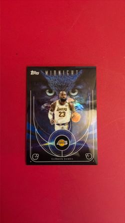 LeBron James Night owls LA lakers