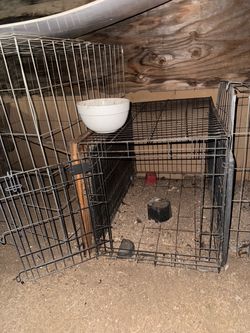 Chicken cage