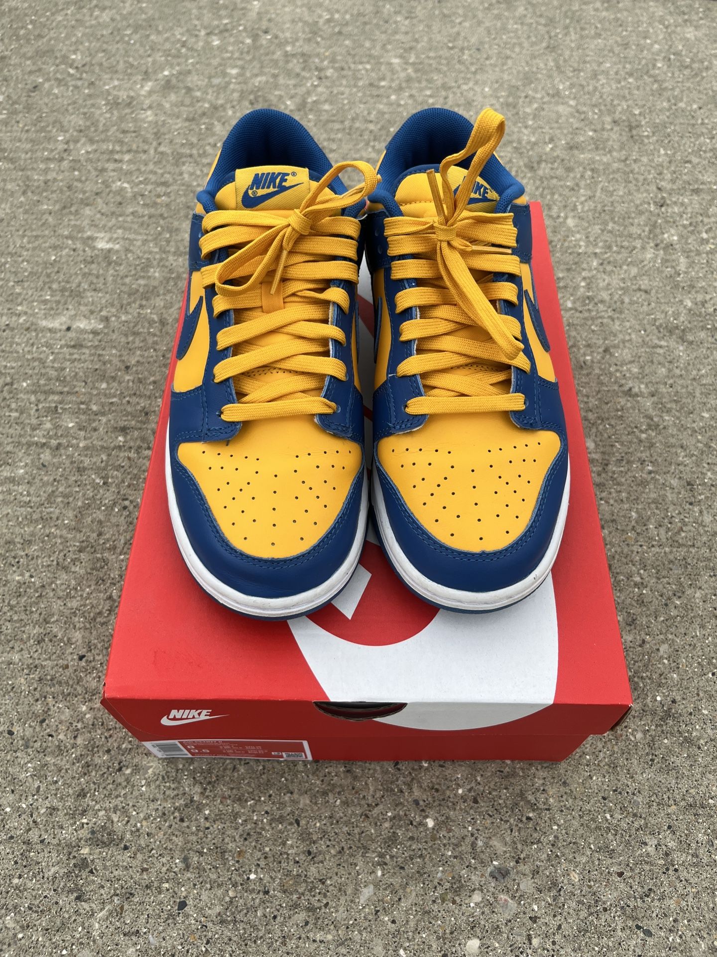Ucla Dunks