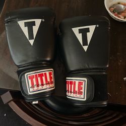 Boxing Gloves Barely Used