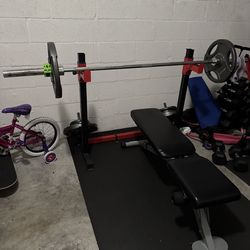 Weights, Rack and Bench