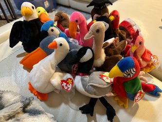 Ty Beanie Babies Bird Collection Lot
