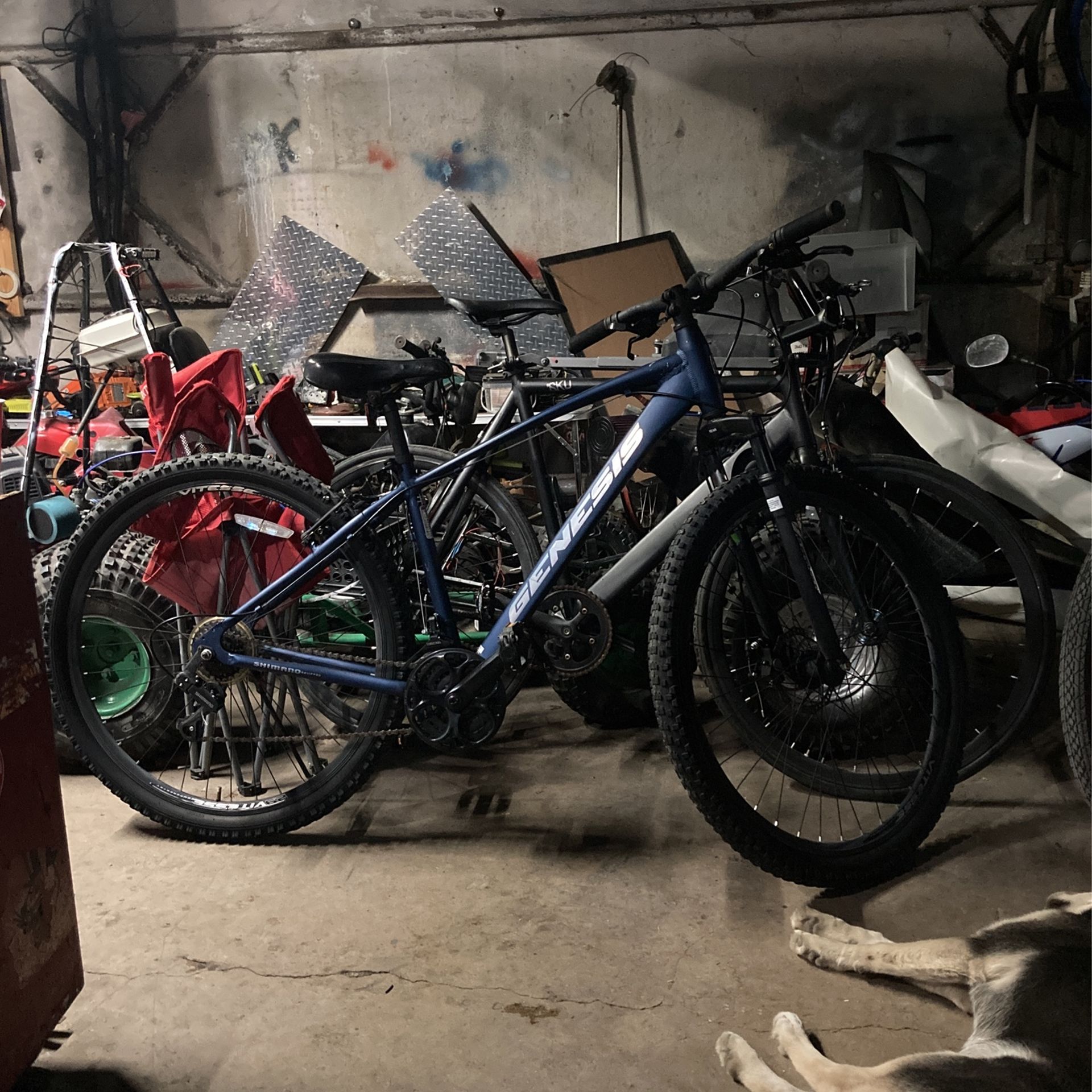 Genesis Silverton Genesis 29 Men's Bike Genesis 6061 Bike