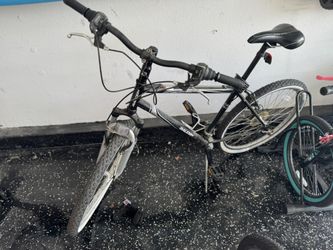 Raleigh Bike