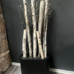 Birch Arrangement 