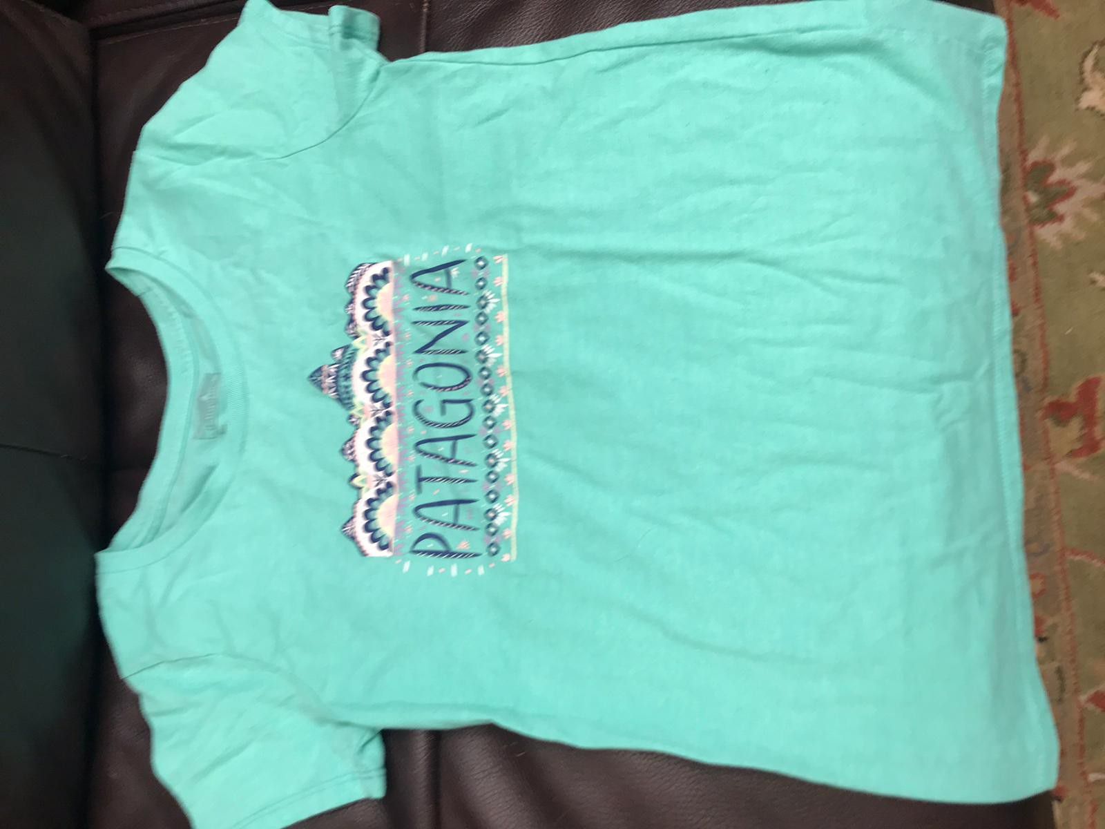 Patagonia t-shirt