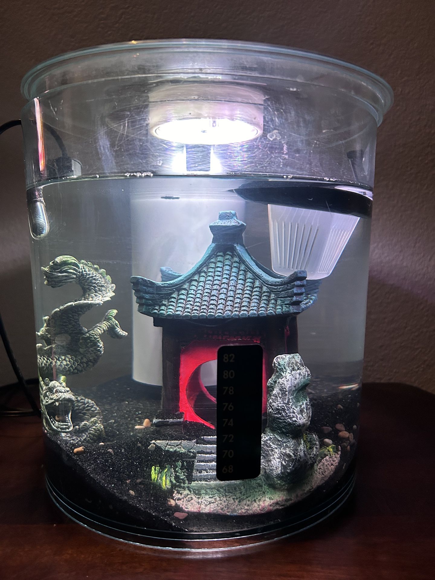Cylinder Aquarium, 2.5 Gallons (Decorations, Filter, And Beta Fish Supplies Included)