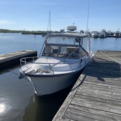1989 Shamrock 260 Predator