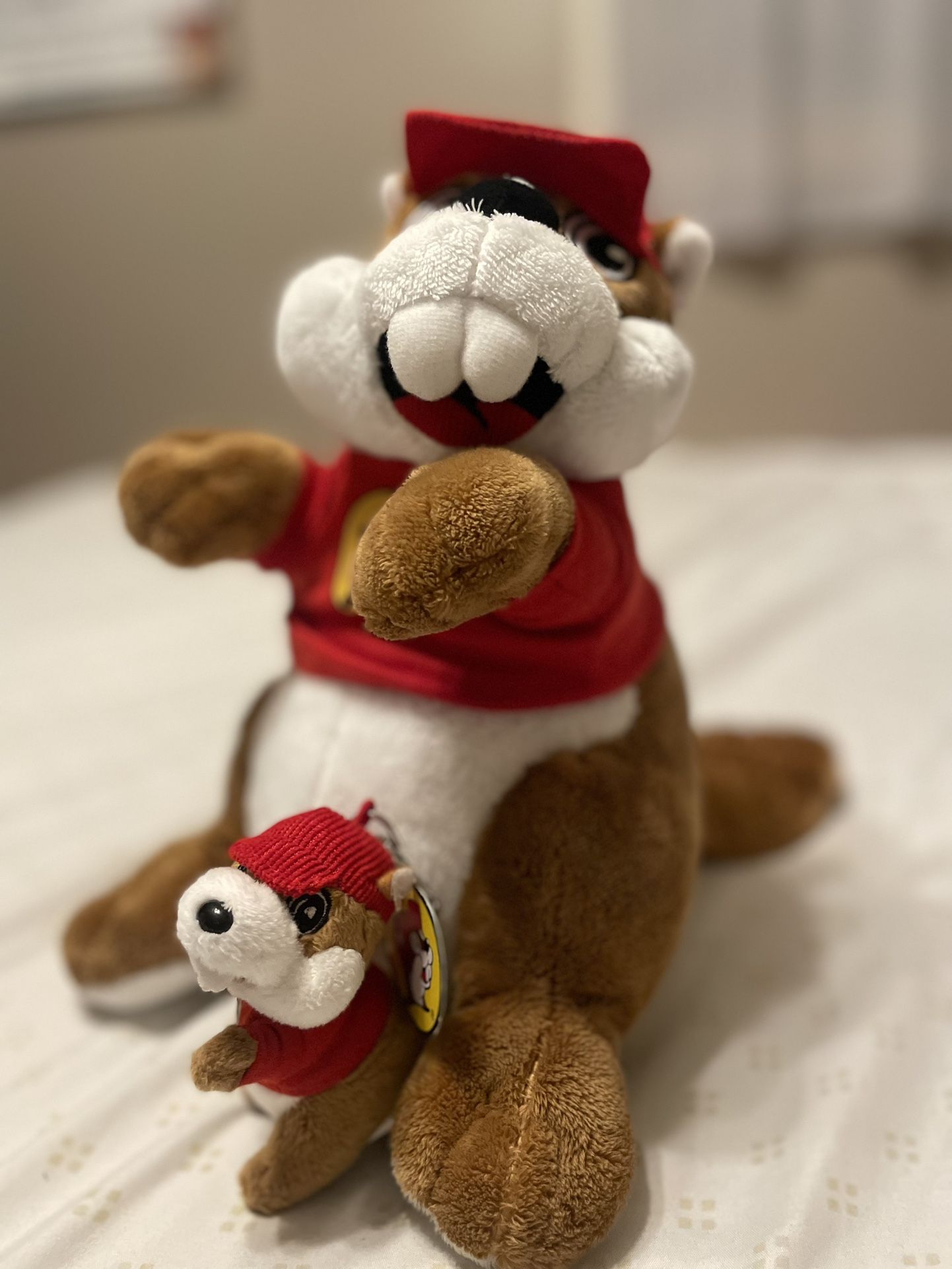 Buc-ee’s plush and keychain plush  