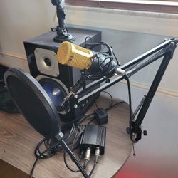 Microphone