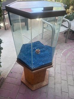 20 gallon hexagon fish tank