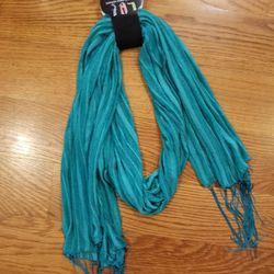NWT Parade Street Products Women’s Green Sheer Stripe Scarf w/Fringe, Lightweight