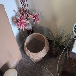 Indoor Decorations 3 Pc. Combo For Only $44.99
