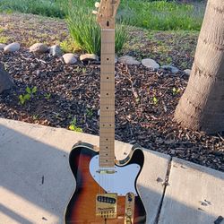 2005 Fender Telecaster Merle Haggard Rude Dog