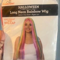 Brand New Rainbow Wig