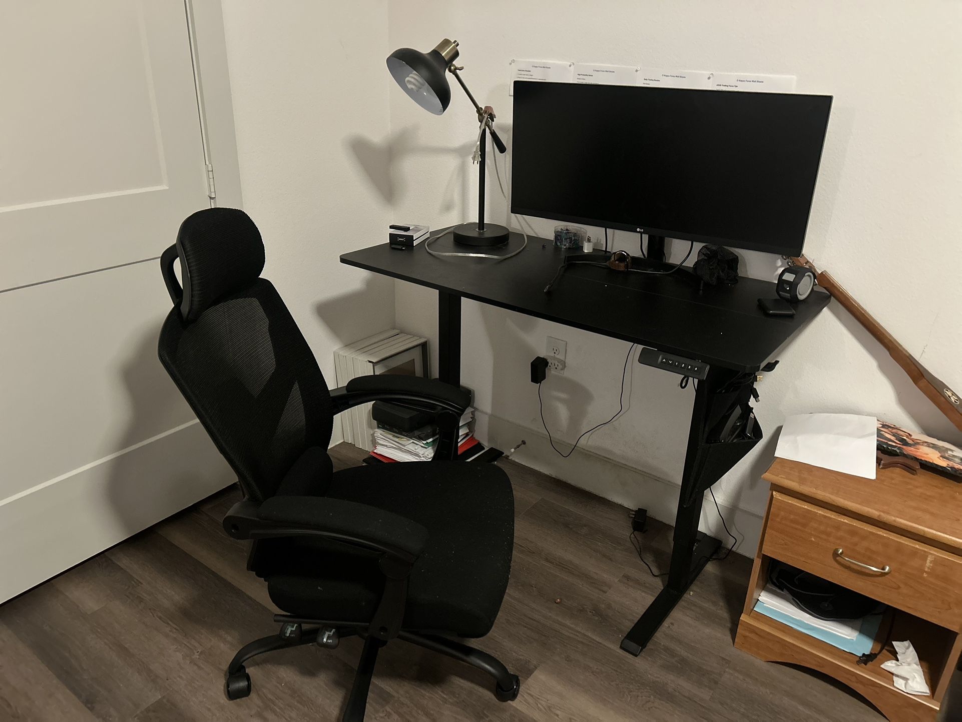 Ergonomic Office Chair + Adjustable Standing Desk + Monitor Setup