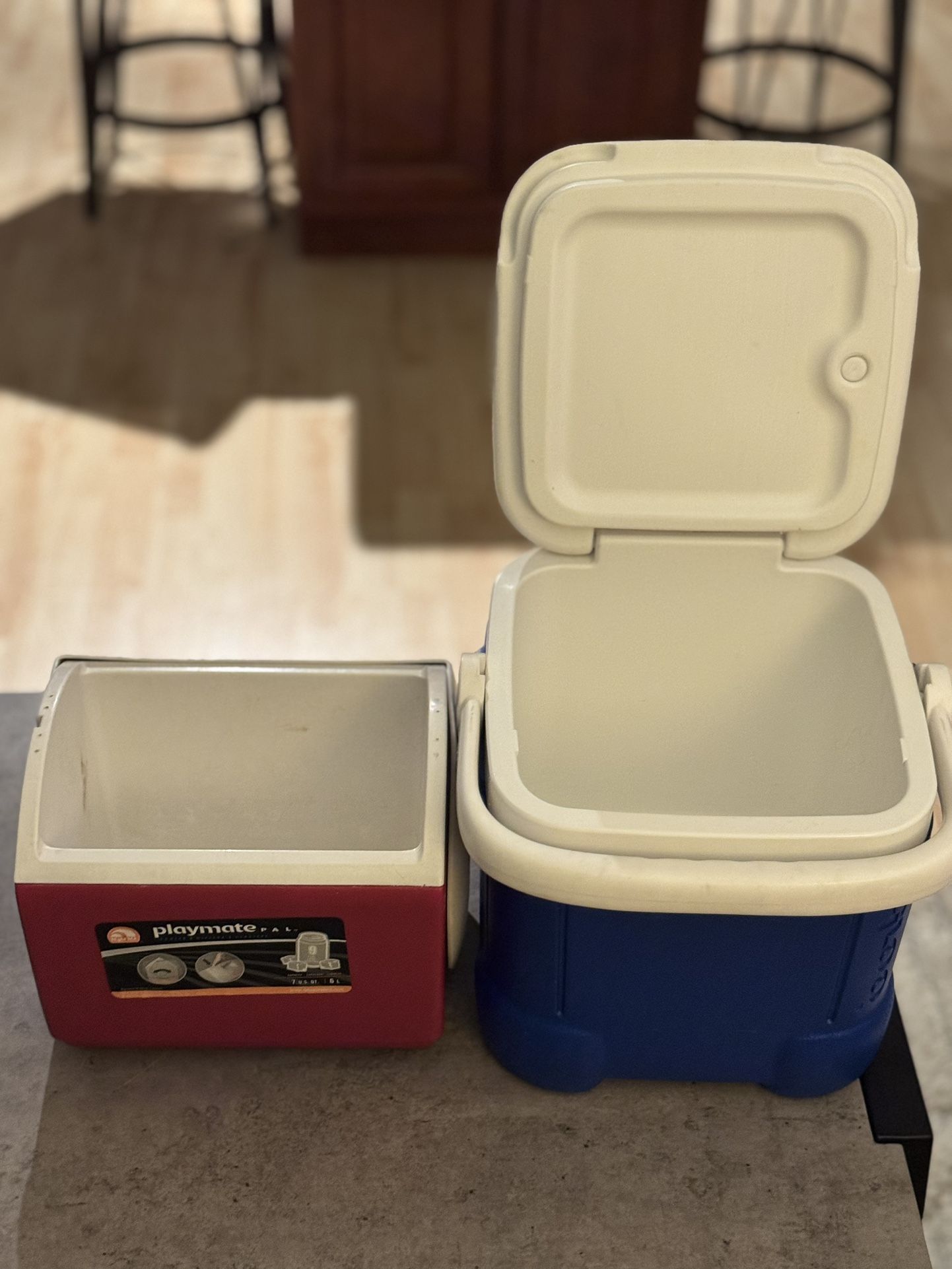 2 Small Coolers – Igloo & Playmate – $18 for Both