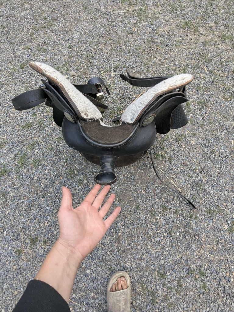 Horse Saddle 