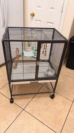 Bird  accessories  (bundle)