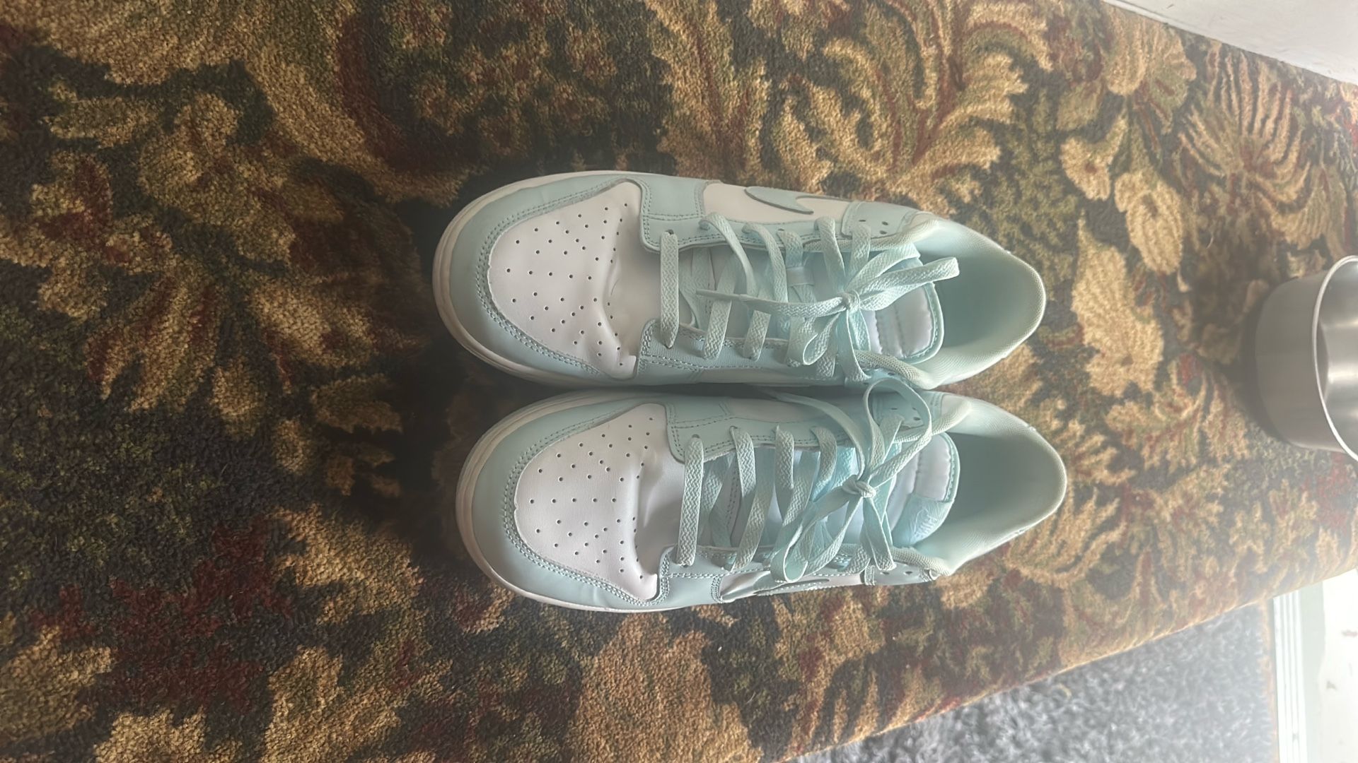 Size 12 Nike Dunks Low