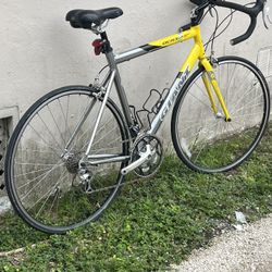 Giant Roadbike 