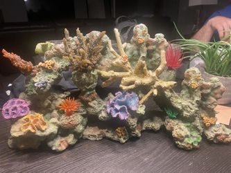 Fake Sat Water Reef With Coral