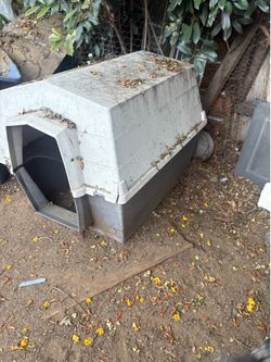 XL Dog House