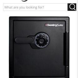 Sentry Safe  Great Condition 