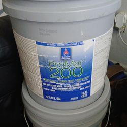 Paint 5 Gallon Egshell