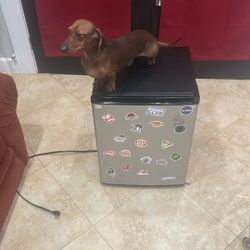 Sanyo Mini Fridge Need Gone Fast