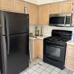 Black Fridge, Gas Stove and Microwave
