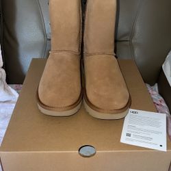 UGG BOOTS NEW IN BOX 