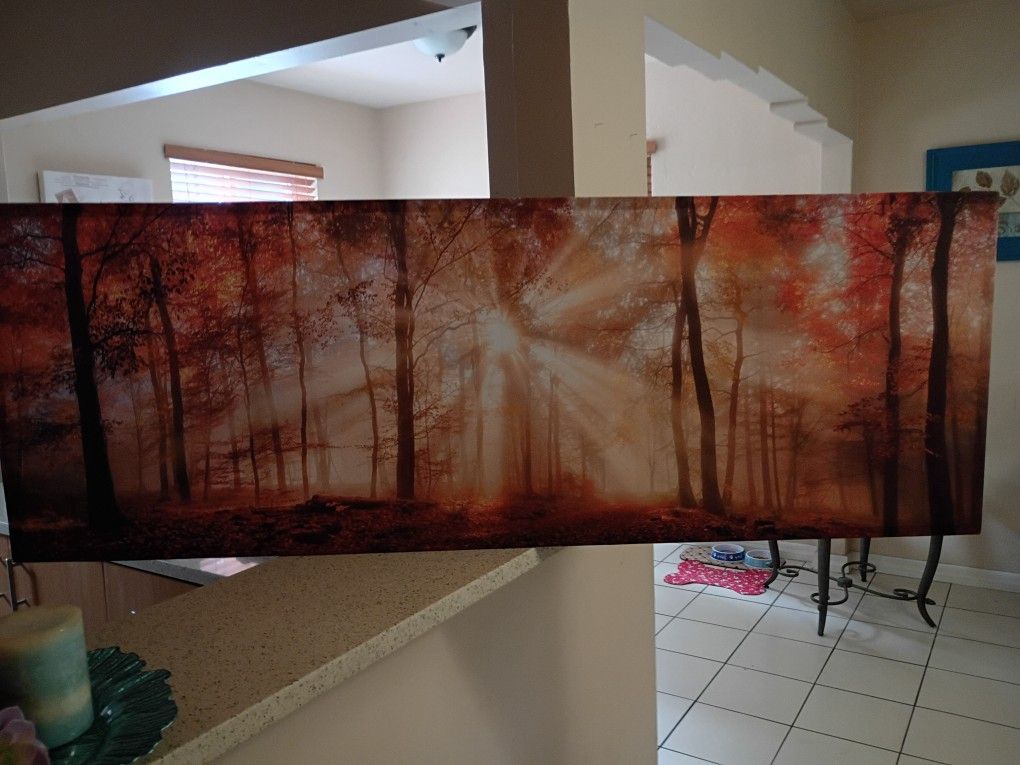 Art Frame