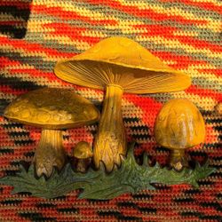 🍄‍🟫🌱🌼Magical little mushrooms🌼🌱 🍄‍🟫 