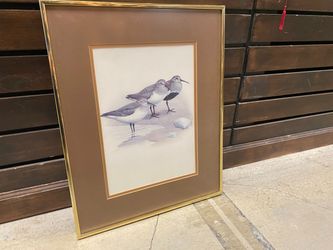 Dunlin Birds Art Print
